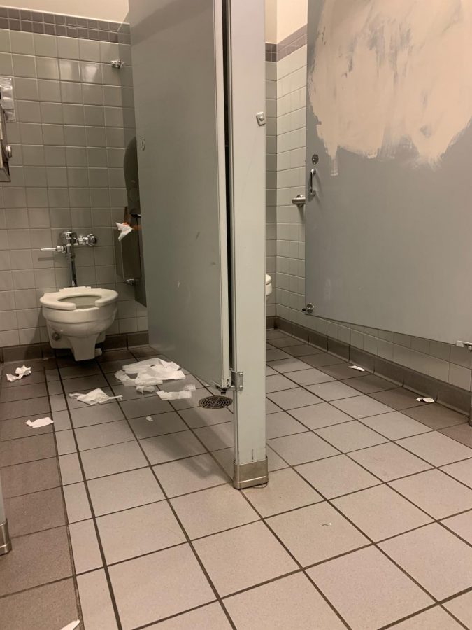 The girls bathroom in the science wing shows off its winter TP look. Photo courtesy of Gavriel Mulligan.