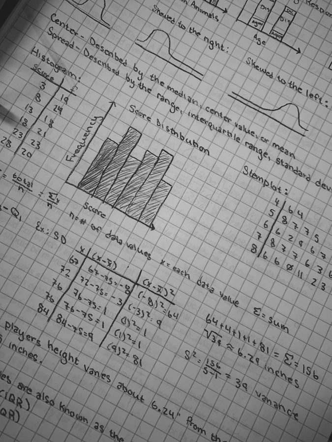 Statistics notes taken by Lauren Caravalho. 