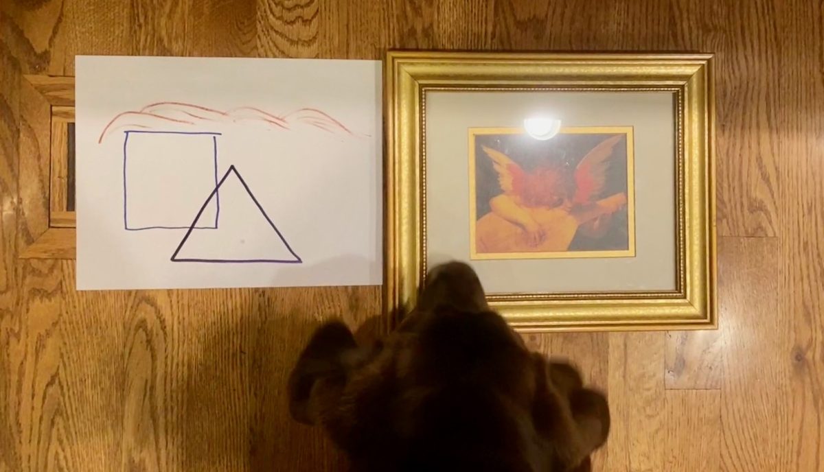 Even simpleton dogs prefer real art to the raising trend of Minimalist art styles. There was no food involved in this experiment, I promise, you can trust me.
